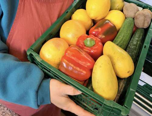 Frühlings-Aktion: 3 Monate testen & 1 Monat zahlen